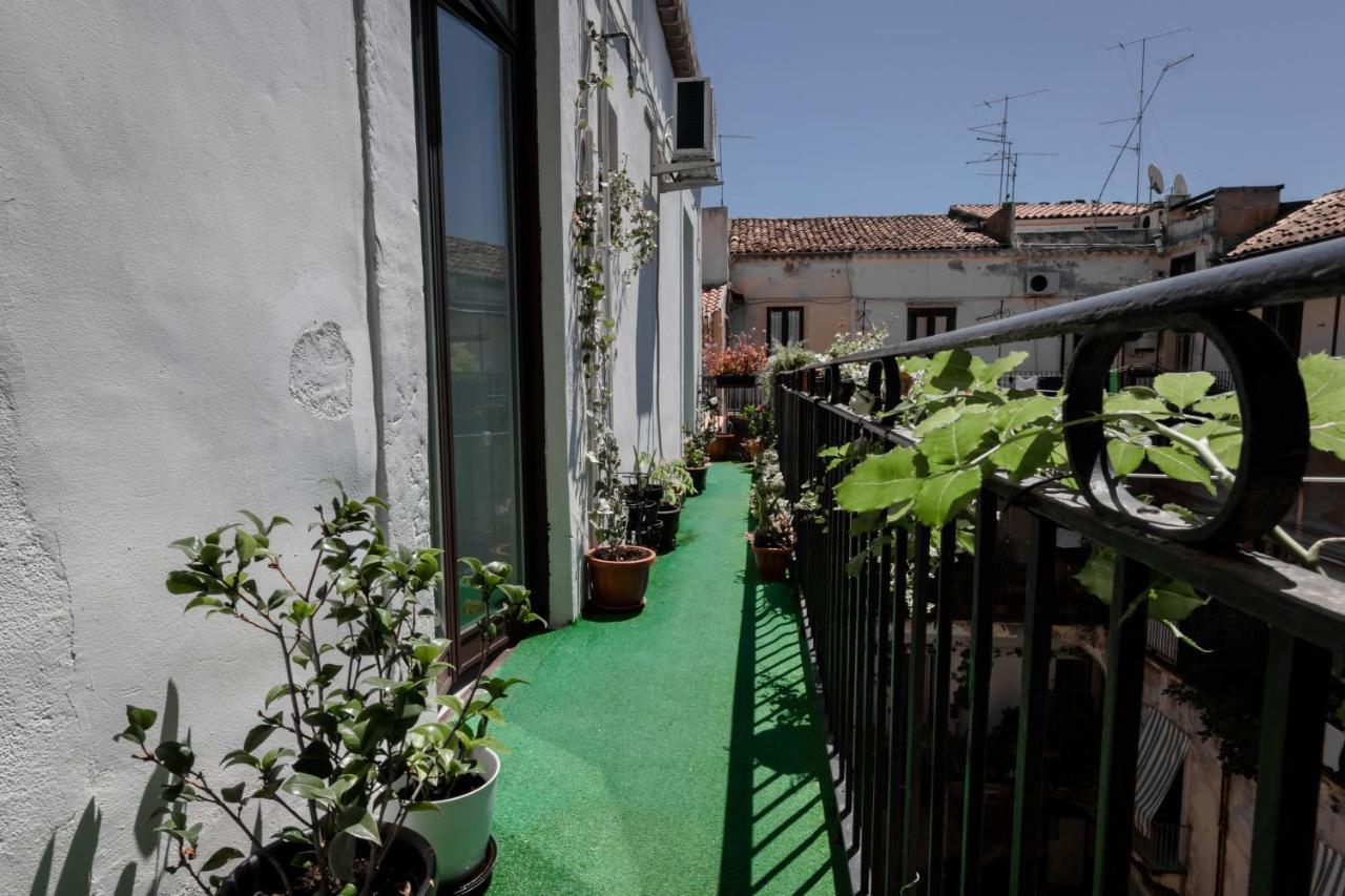 Pegaso Guest house